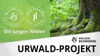Franke und Bornberg Wohllebens Waldakademie UrwaldProjekt Die jungen Wilden