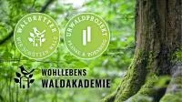 Franke und Bornberg Wohllebens Waldakademie UrwaldProjekt