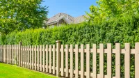 Franke und Bornberg Rating Private Rechtsschutzversicherung - Bild von Gartenzaun un Hecke zum Nachbarn