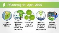 Franke udn Bornberg Mini-Wald Hannover Vahrenheide Pflanztag Fakten