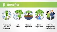 Franke udn Bornberg Mini-Wald Hannover Vahrenheide Benefits Luftfilter, Wasserspeicher Bildung, Biodiversität
