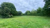 Franke udn Bornberg Mini-Wald Hannover Vahrenheide vorherige Ansicht der Wiese