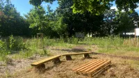 Franke udn Bornberg Mini-Wald Hannover Vahrenheide Grünes Klassenzimmer mit Bänken