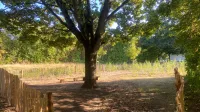 Franke udn Bornberg Mini-Wald Hannover Vahrenheide Ansicht Klassenzimmer