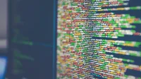 Nahaufnahme Code auf einem Computermonitor - Cyber-Versicherung: Von den Bedingungen zum Rating
