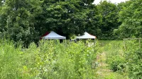 Stadtteiltreff Sahlkamp und Franke und Bornberg - Blind Date Kultur - Mini-Wald im Stadtteil Vahrenheide-Sahlkamp - 