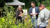Stadtteiltreff Sahlkamp und Franke und Bornberg - Blind Date Kultur - Mini-Wald im Stadtteil Vahrenheide-Sahlkamp - Maximilian Kamp