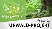 Franke und Bornberg Wohllebens Waldakademie UrwaldProjekt Die jungen Wilden