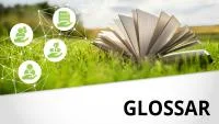Franke und Bornberg Nachhaltigkeit Glossar - aufgeschlagenes Buch auf der Wiede mit Icons zum Thema ESG