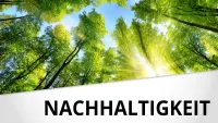 Franke und Bornberg Teaser Bild - Nachhaltigkeits mit sonnigem Wald und Baumkronen