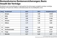 Lebensversicherung Bestandsstorno Rentenversicherungen Veränderung zum Vorjahr