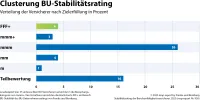 map-report Nr. 938 - BU-Stabilitätsrating 2025 - Clusterung