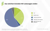 Franke und Bornberg BU-Leistungspraxis-Studie 2022 - Gründe für das Ende der BU-Leistungen