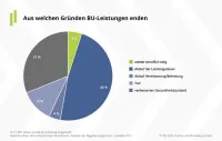 Franke und Bornberg BU-Leistungspraxis-Studie 2021 - Gründe warum BU-Leistungen enden, wie Aufnahme Arbeit, Befristung und Tod