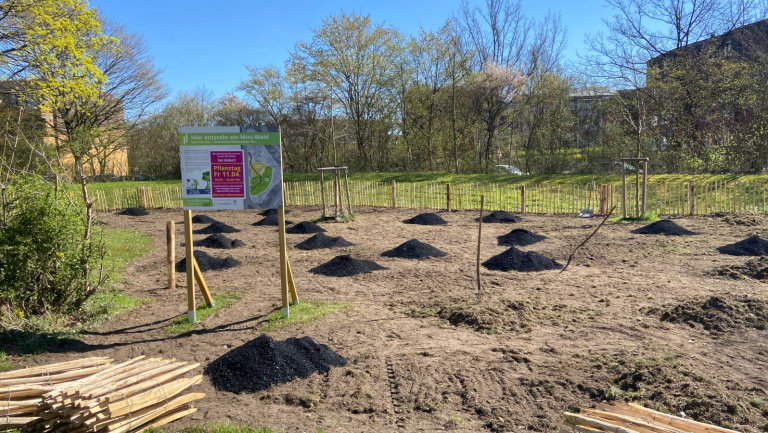 Franke und Bornberg - Mini-Wald - Pflanztag - Fortschritt