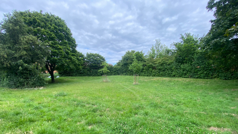 Franke und Bornberg - Mini-Wald - Pflanztag - Fortschritt