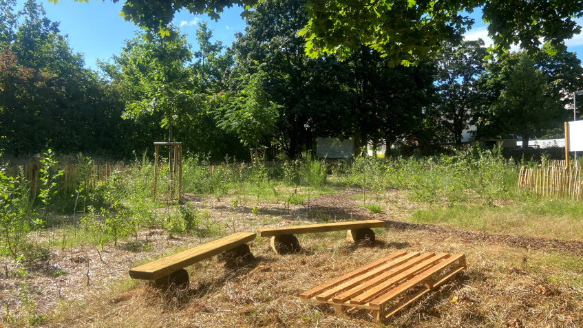Franke und Bornberg Miniwald - Grünes Klassenzimmer