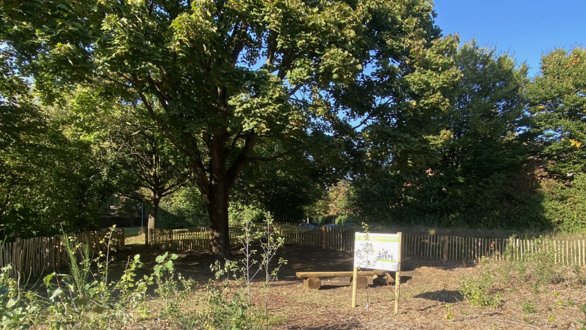 Franke und Bornberg Miniwald - Grünes Klassenzimmer