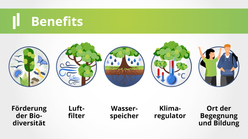 Franke und Bornberg - Mini-Wald - Benefits