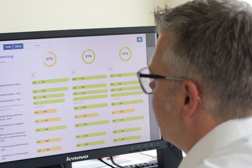 Franke und Bornberg Analyse Franke und Bornberg Analyse